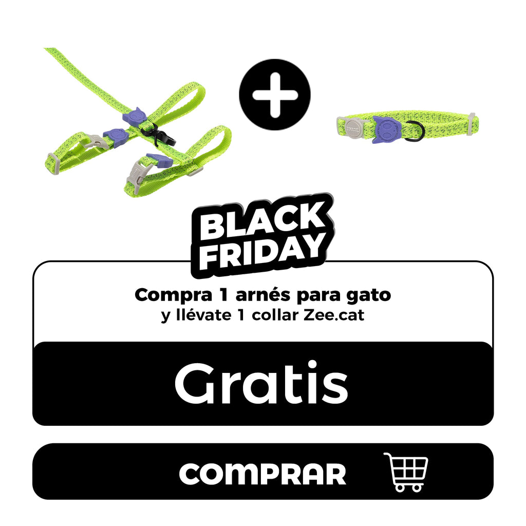 Compra 1 arnés y te llevas gratis 1 Collar para gato
