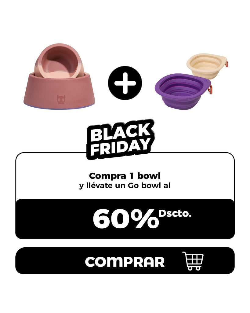 Compra cualquier bowl y llévate 1 Gobowl al 60% Dscto.