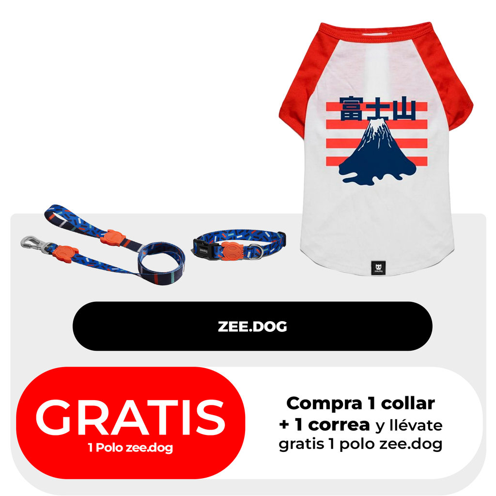 Compra 1 collar + 1 correa y llévate GRATIS 1 Polo Zeedog