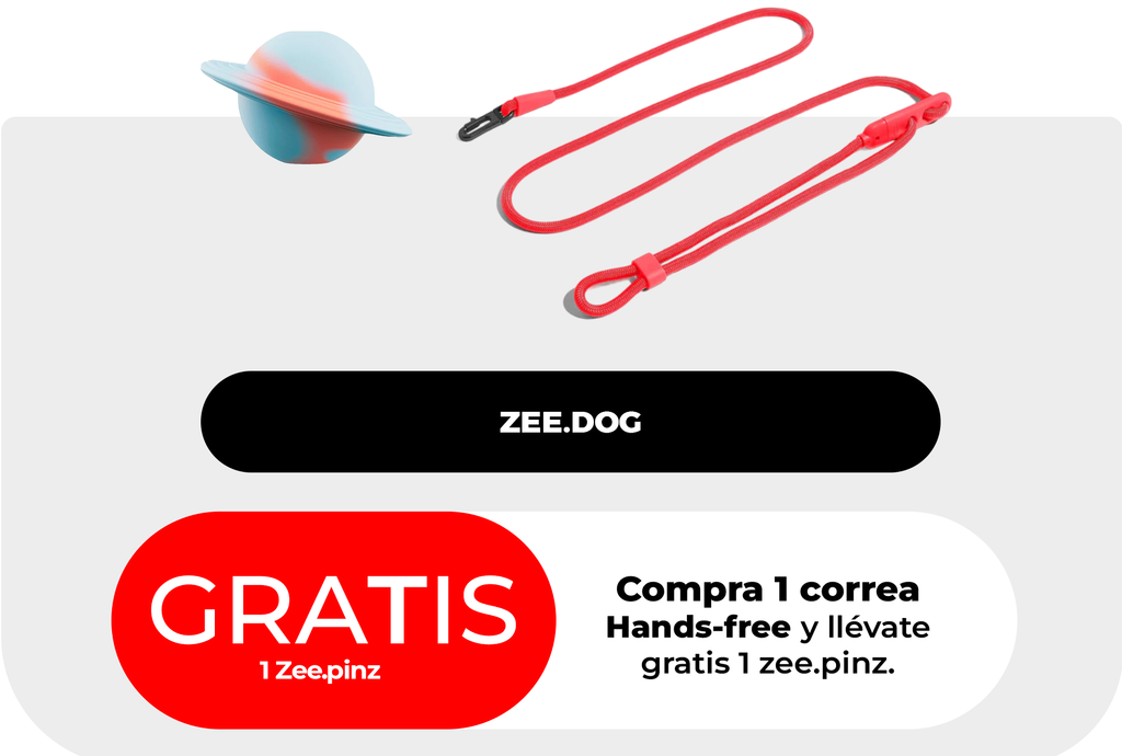 Compra 1 Correa hands-free y llévate GRATIS 1 Zee.pinz