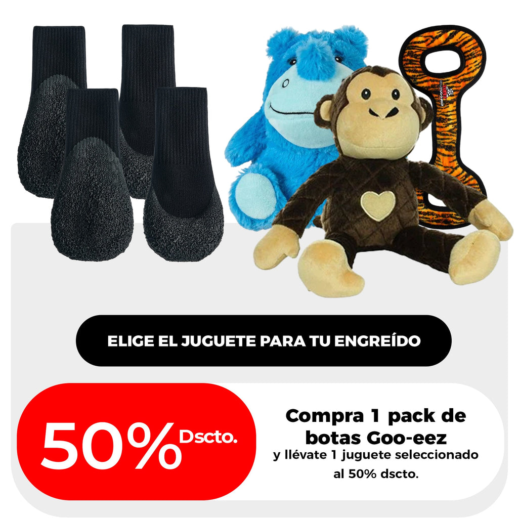 Elige un juguete
