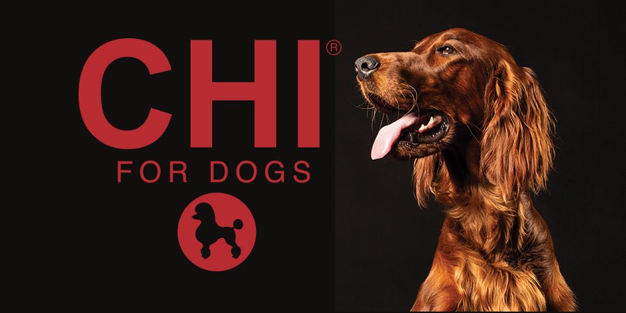 CHI FOR DOGS | Pet Fashion