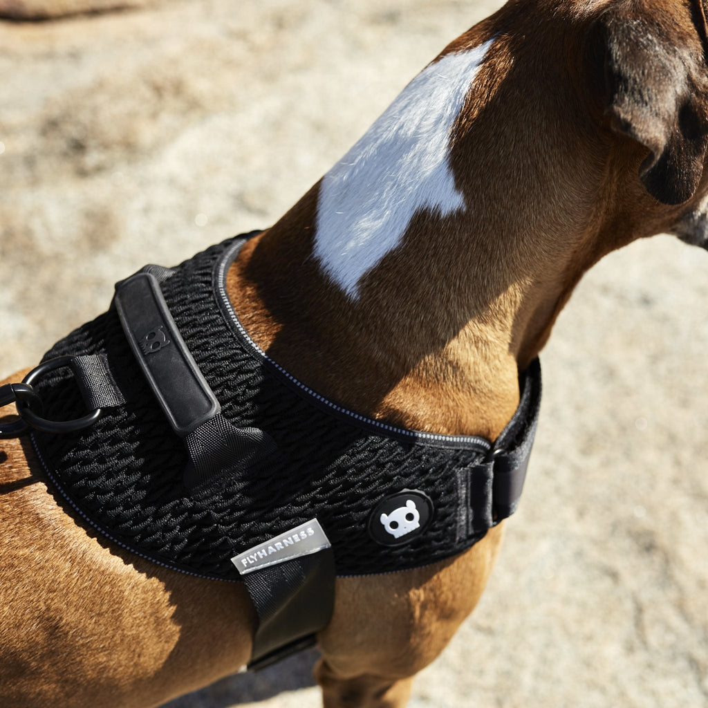 Zee.dog | Pet Fashion