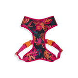 Zee.dog FARM Rio Selva Pechera Air Mesh Ajustable