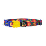Zee.dog FARM Rio Samba Collar