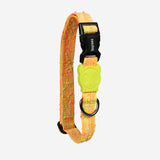Zee.dog Fuse Bikr Collar
