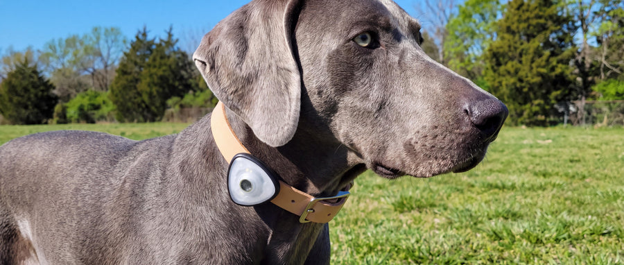 Soundshield