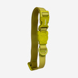 Zee.dog Neopro Matcha Collar ultra resistente al agua y a la intemperie