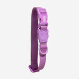 Zee.dog Neopro Violet Collar ultra resistente al agua y a la intemperie