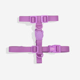 Zee.dog Neopro Violet H-Harness ultra resistente al agua y a la intemperie