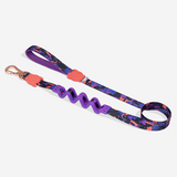 Zee.dog Reebok Court Ruff Correa