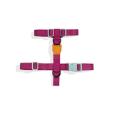 Zee.dog Nox Sidus reflective H-Harness