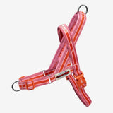 Zee.dog Velvet Vibes Courtney SofterWalk Harness