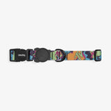 Zee.dog Mtv Collar