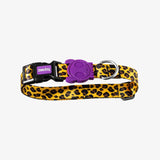 Zee.dog Honey Collar
