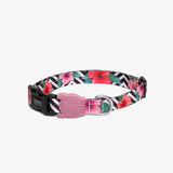Zee.dog Mahalo Collar
