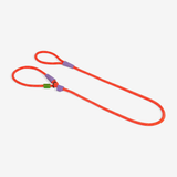 Zee.dog Everest Correa Slip-N-Lock