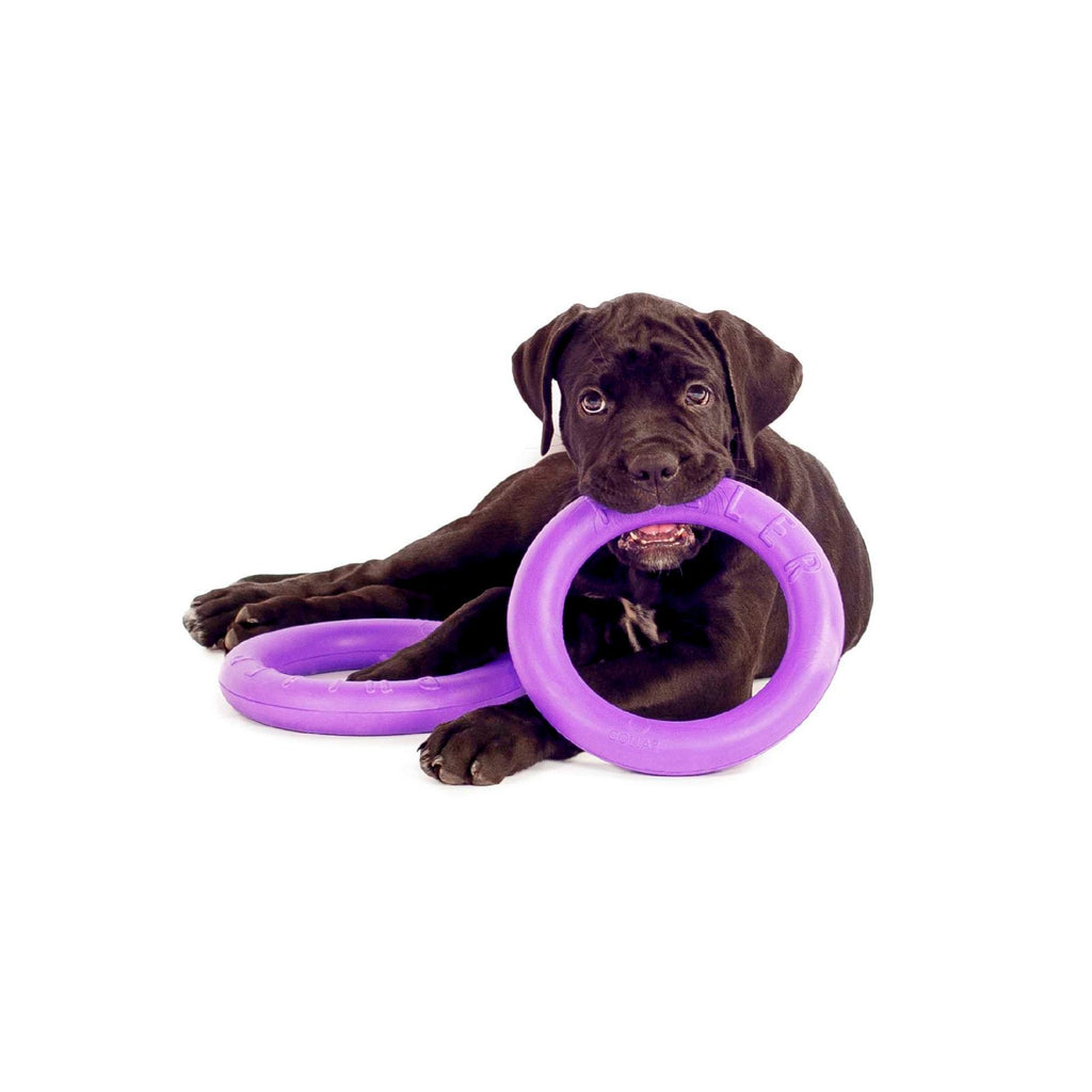 2 AROS DE ENTRENAMIENTO Puller MIDI de 20 cm de diámetro - Pet Fashion