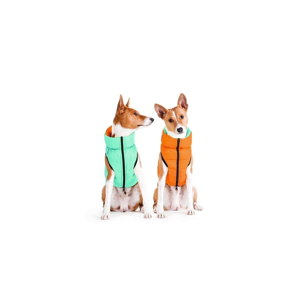 Airy Vest Lumi BRILLA EN LA OSCURIDAD - Casaca Reversible Naranja / Verde Claro - Pet Fashion