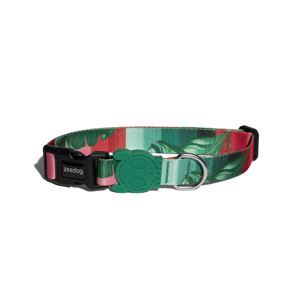 Bali Collar - Pet Fashion