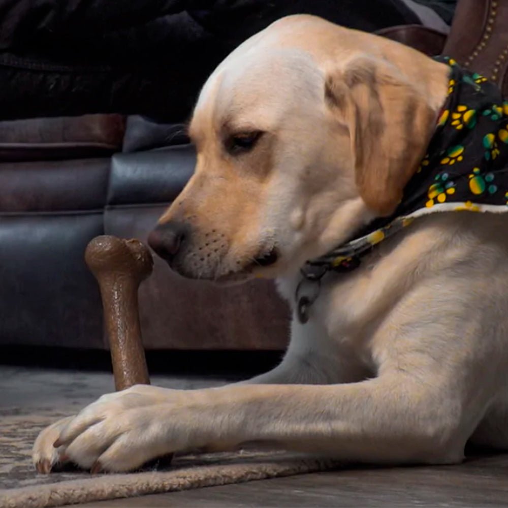Bonetics Extra Large Femur Bone, Wood Scent juguete para perro - Pet Brands