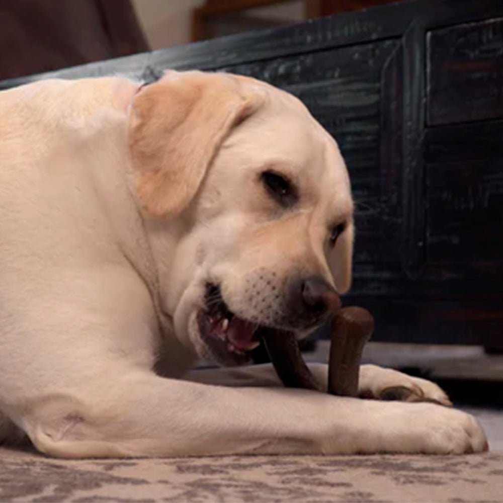 Bonetics Medium Wishbone Wood Scent juguete para perro - Pet Brands