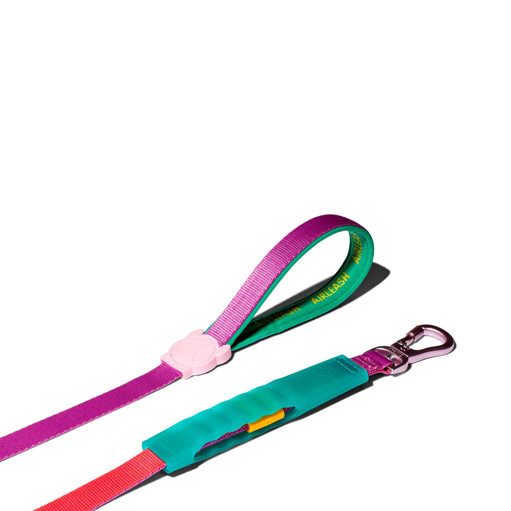 Cali Dos Air Correa - Pet Fashion