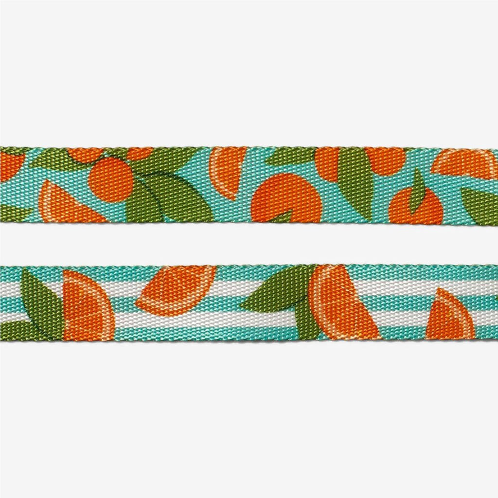 Florida H-Harness - Pet Fashion