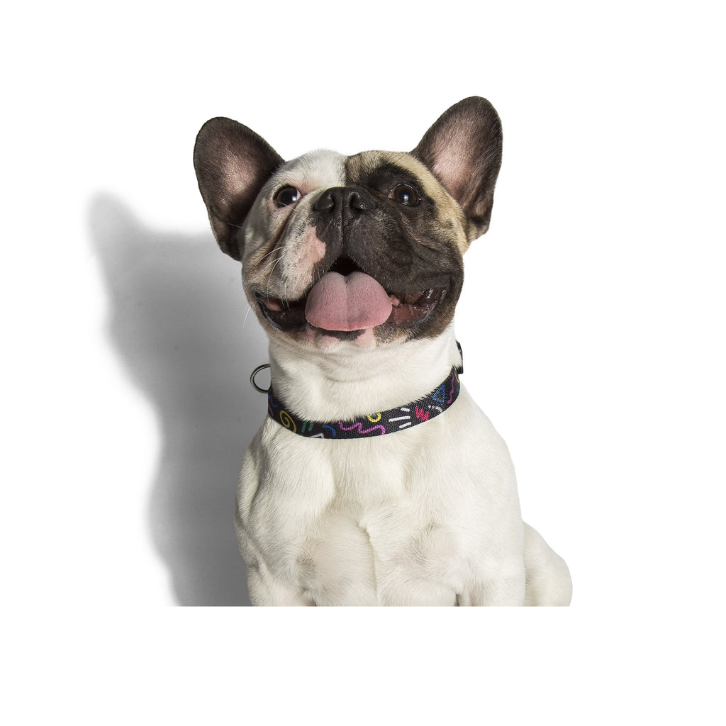 Kaboom Collar - Pet Fashion