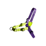 Zee.dog Lemonade Soft-Walk Harness