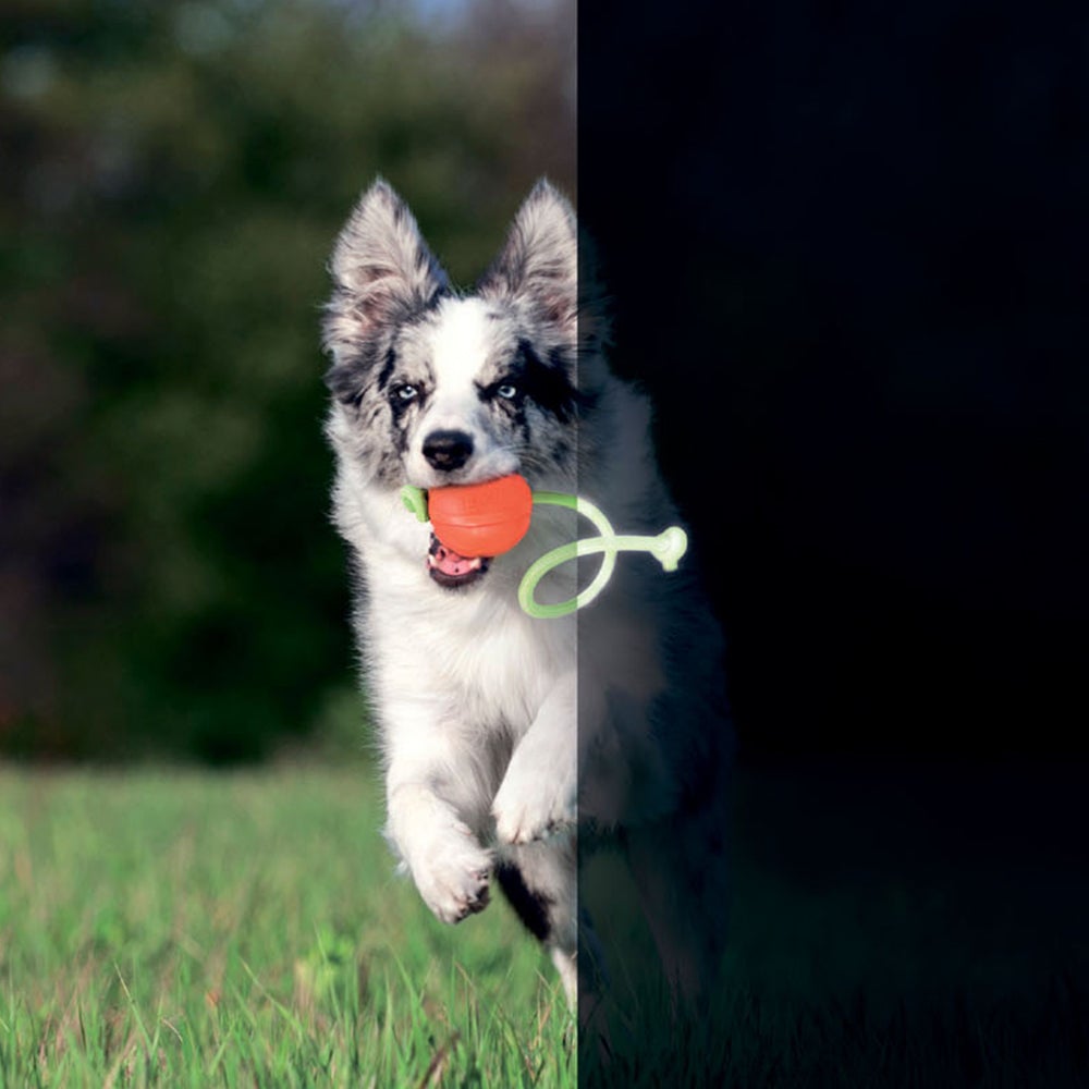 Liker lumi 5 pelota que brilla en la oscuridad para cachorros y razas pequeñas - Pet Brands