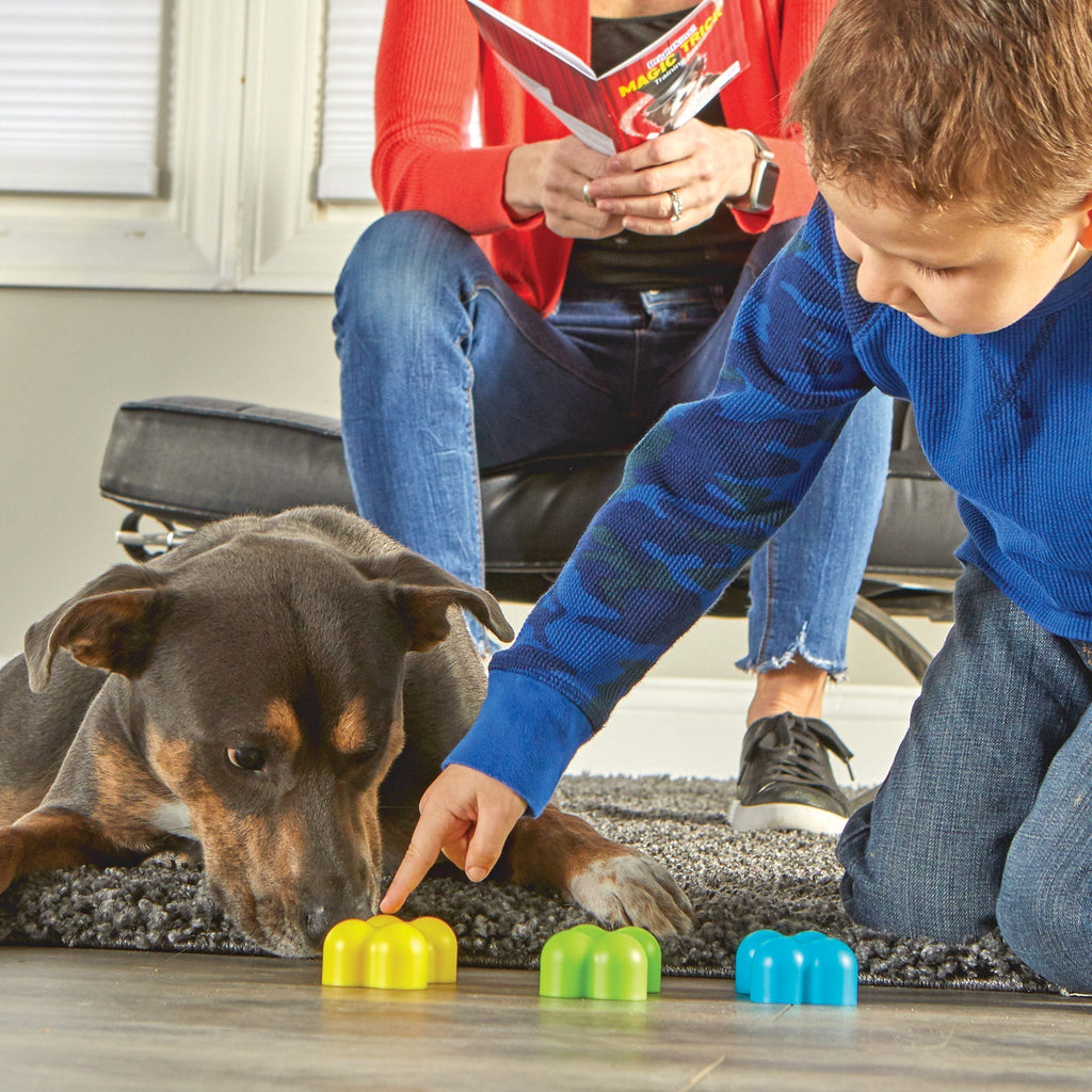 Magic Trick Training Set juguete de entrenamiento para perro - Pet Fashion