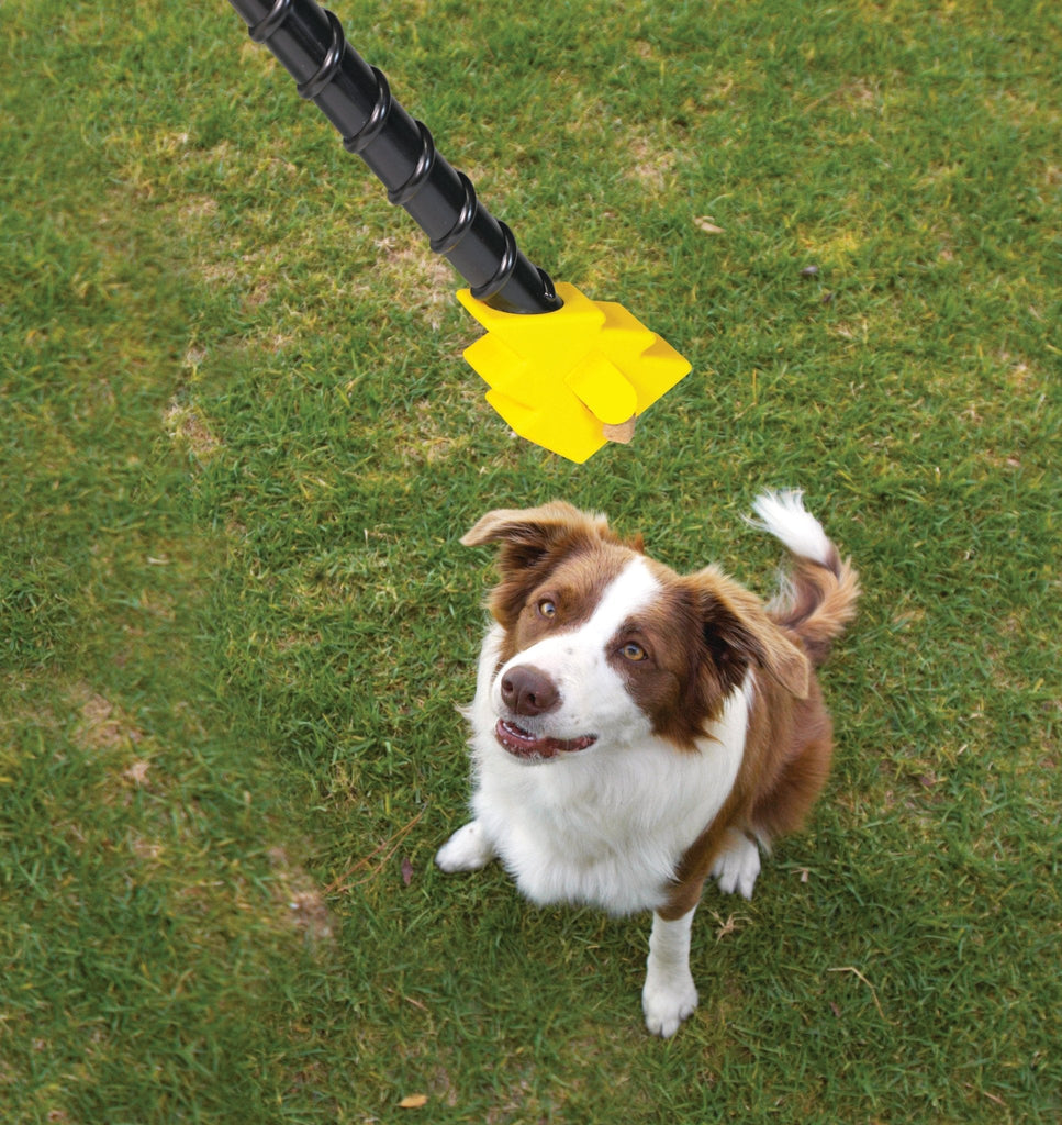 Magic Wand Treat Dispenser- BOLT juguete de entrenamiento para perro - Pet Fashion
