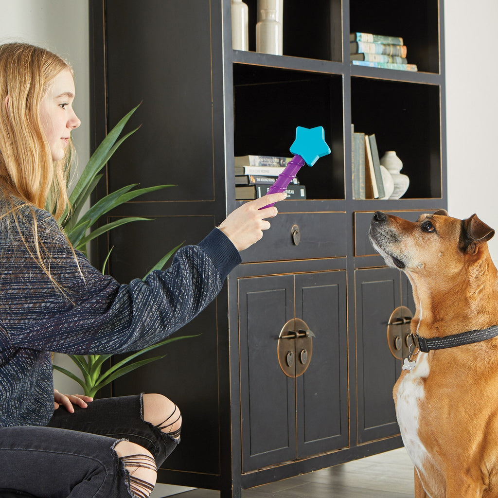 Magic Wand Treat Dispenser- STAR juguete de entrenamiento para perro - Pet Fashion