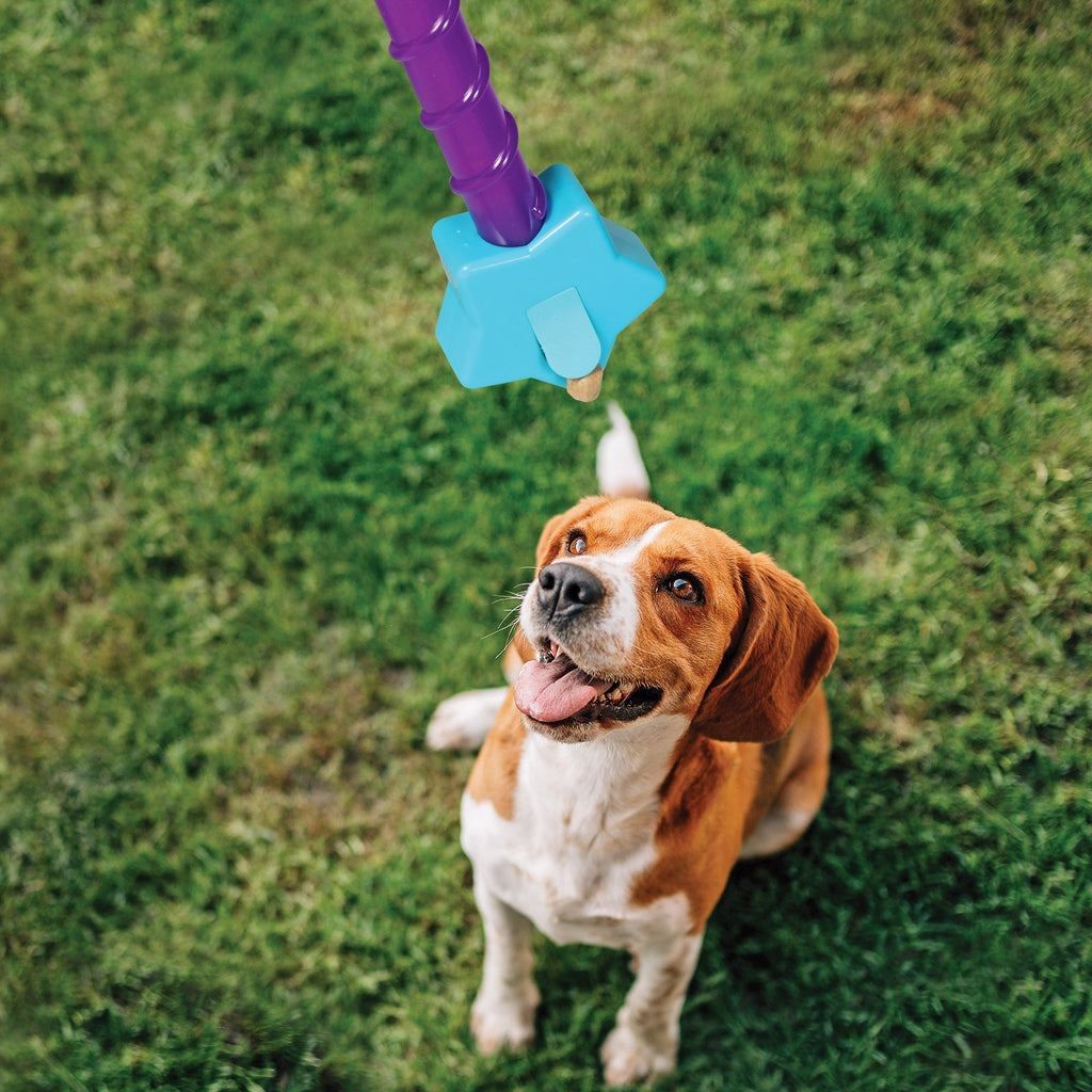 Magic Wand Treat Dispenser- STAR juguete de entrenamiento para perro - Pet Fashion