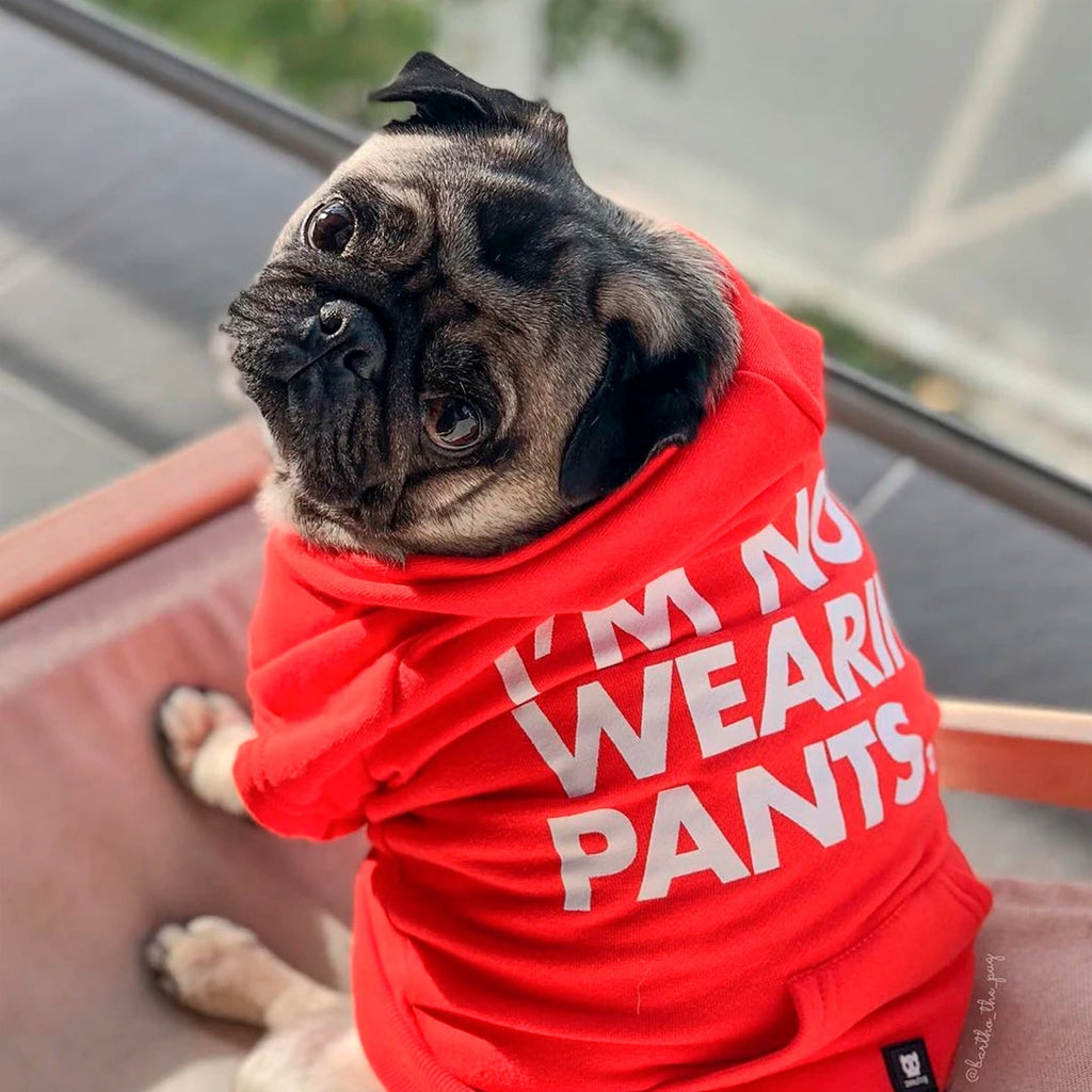Not wearing pants red hoodie Zee.dog Sudadera con capucha - Pet Fashion