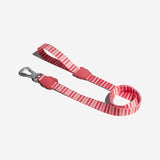 Zee.dog Peppermint Correa