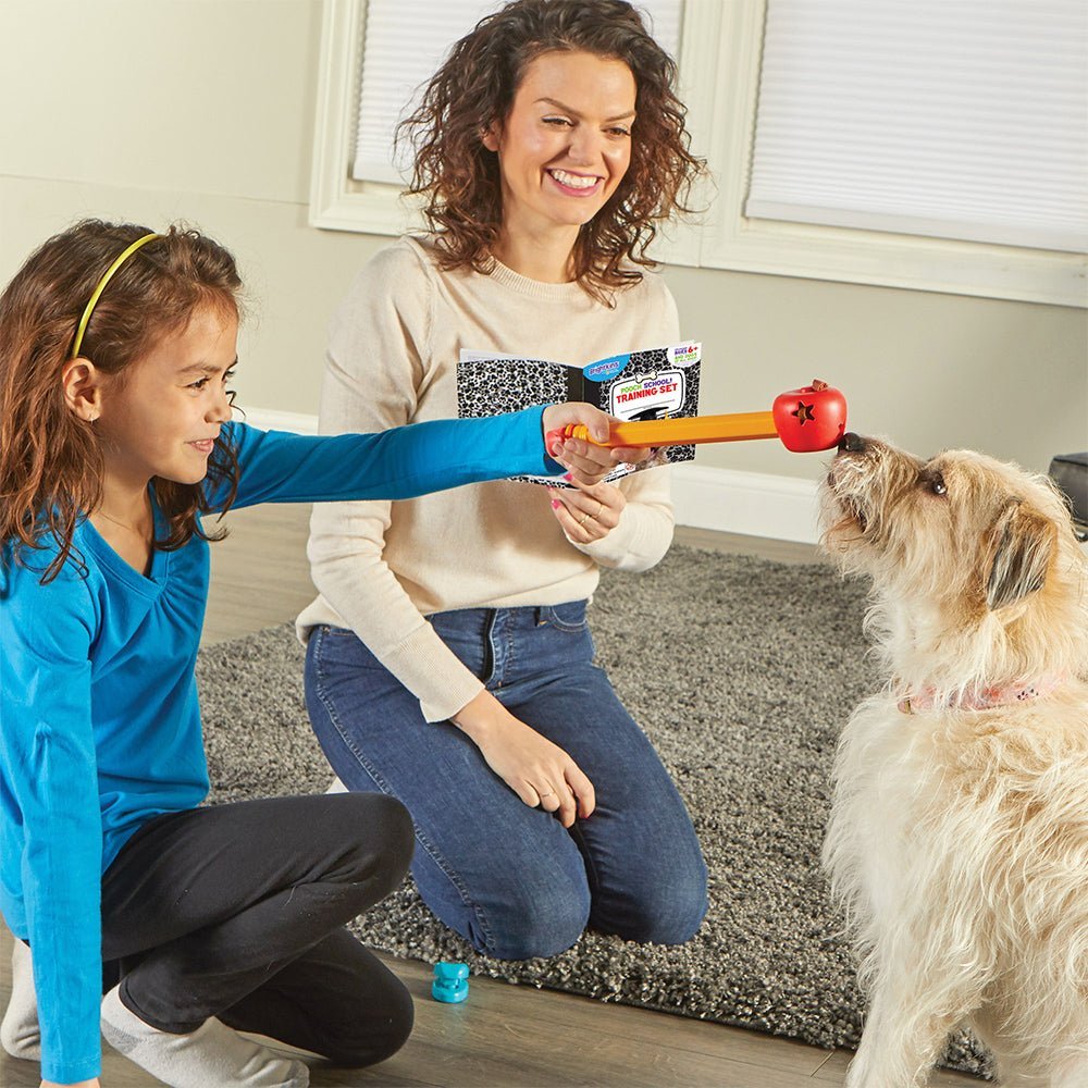 Pooch School Training Set juguete de entrenamiento para perro - Pet Fashion