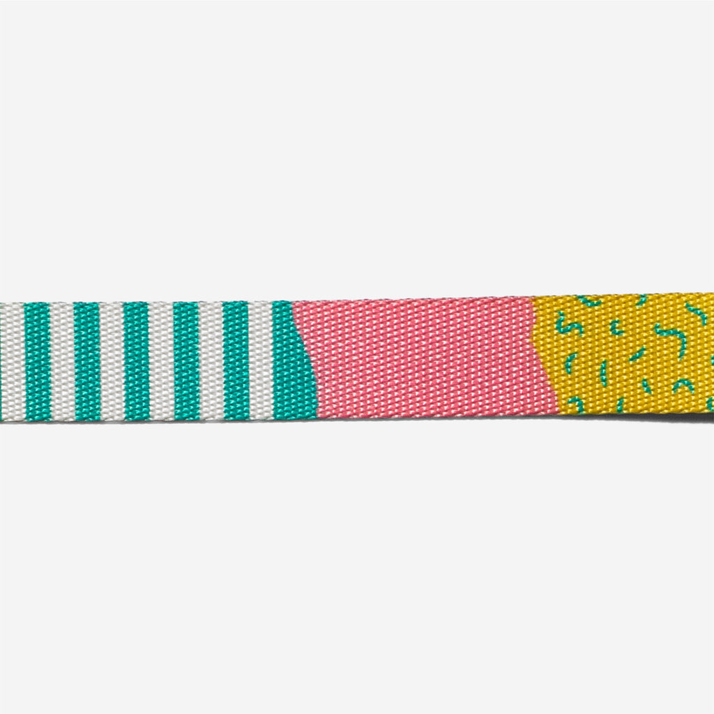 SALINAS COLLAR - Pet Fashion
