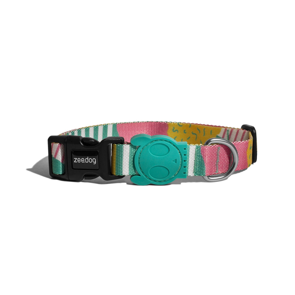 SALINAS COLLAR - Pet Fashion
