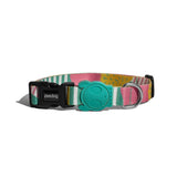 Zee.dog Salina Collar