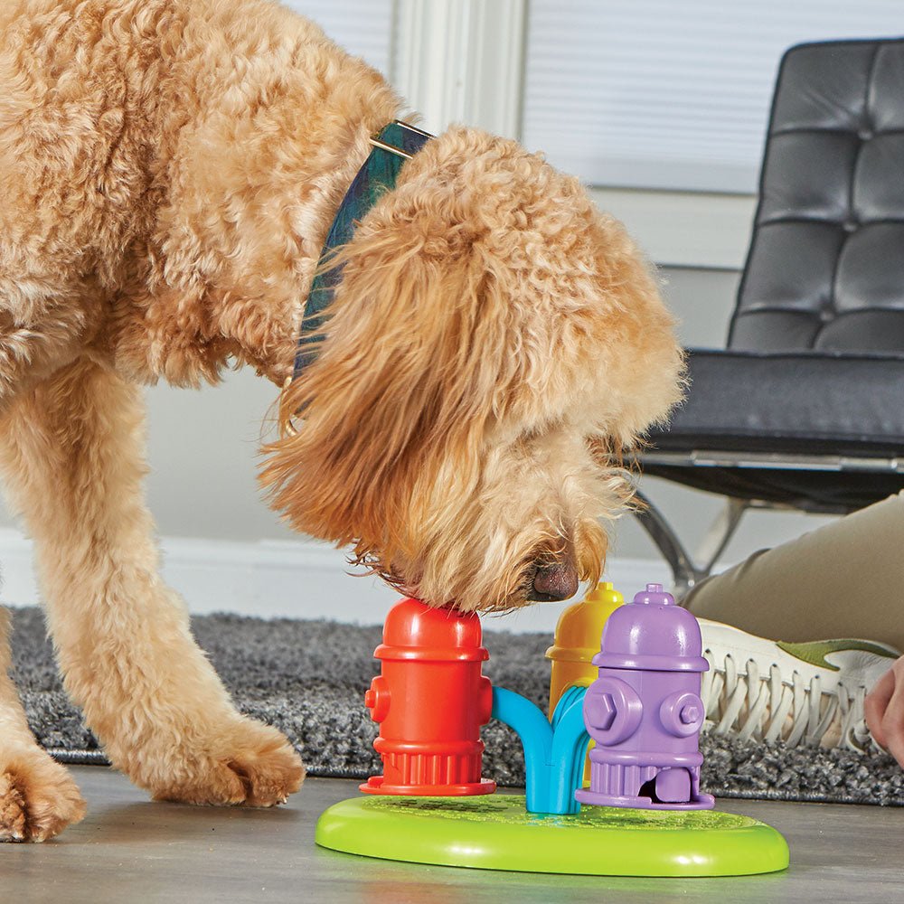 Spinning Hydrants Feeder juguete de entrenamiento para perro - Pet Fashion