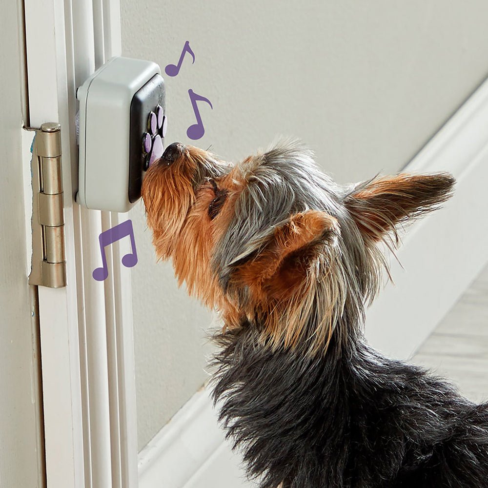 Talking Pet Doorbell juguete de entrenamiento para perro - Pet Fashion