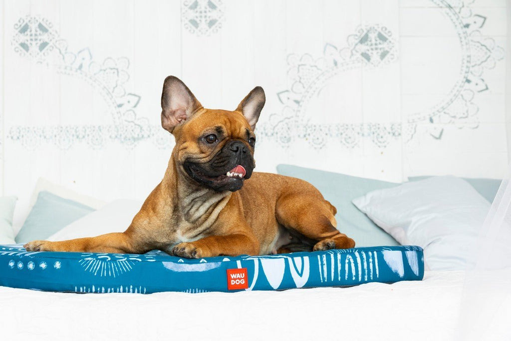 Waudog Pack cama abstracción Relax + cobertor S 55 cm. x 40 cm. - Pet Fashion