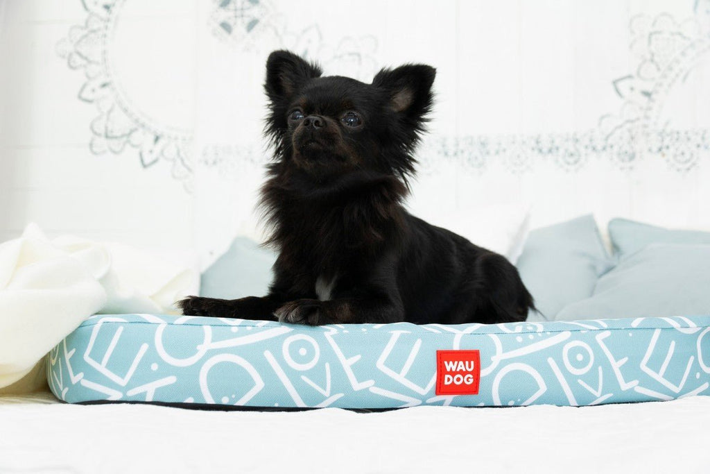 Waudog Pack cama amo a mi perro Relax + cobertor S 55 cm. x 40 cm. - Pet Fashion