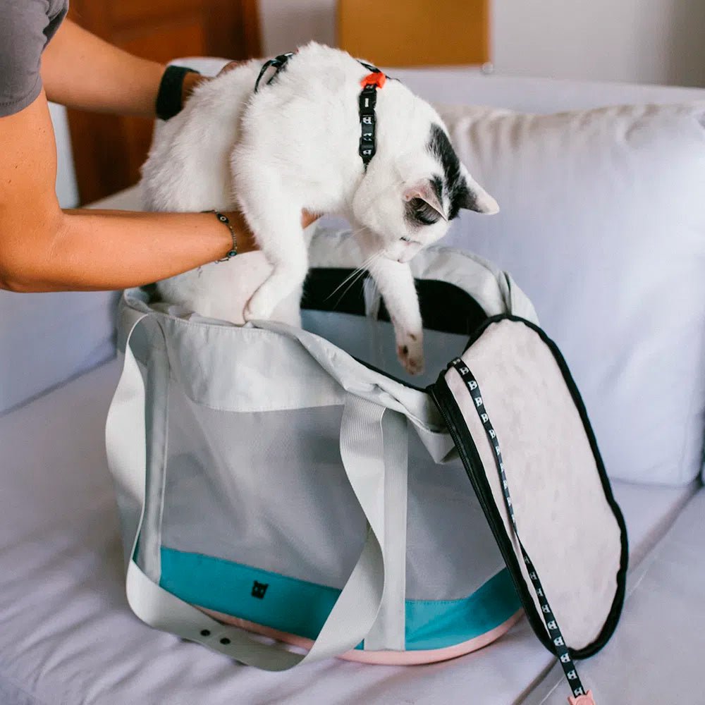 Zee.cat Carrier Kombucha transportador para gato - Pet Fashion