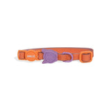 Zee.cat Neopro Iris collar para gato ultra resistente al agua y a la intemperie