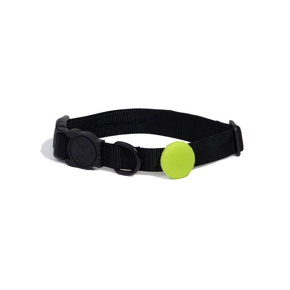 Zee.dog AirTag Holder Lime - Pet Fashion