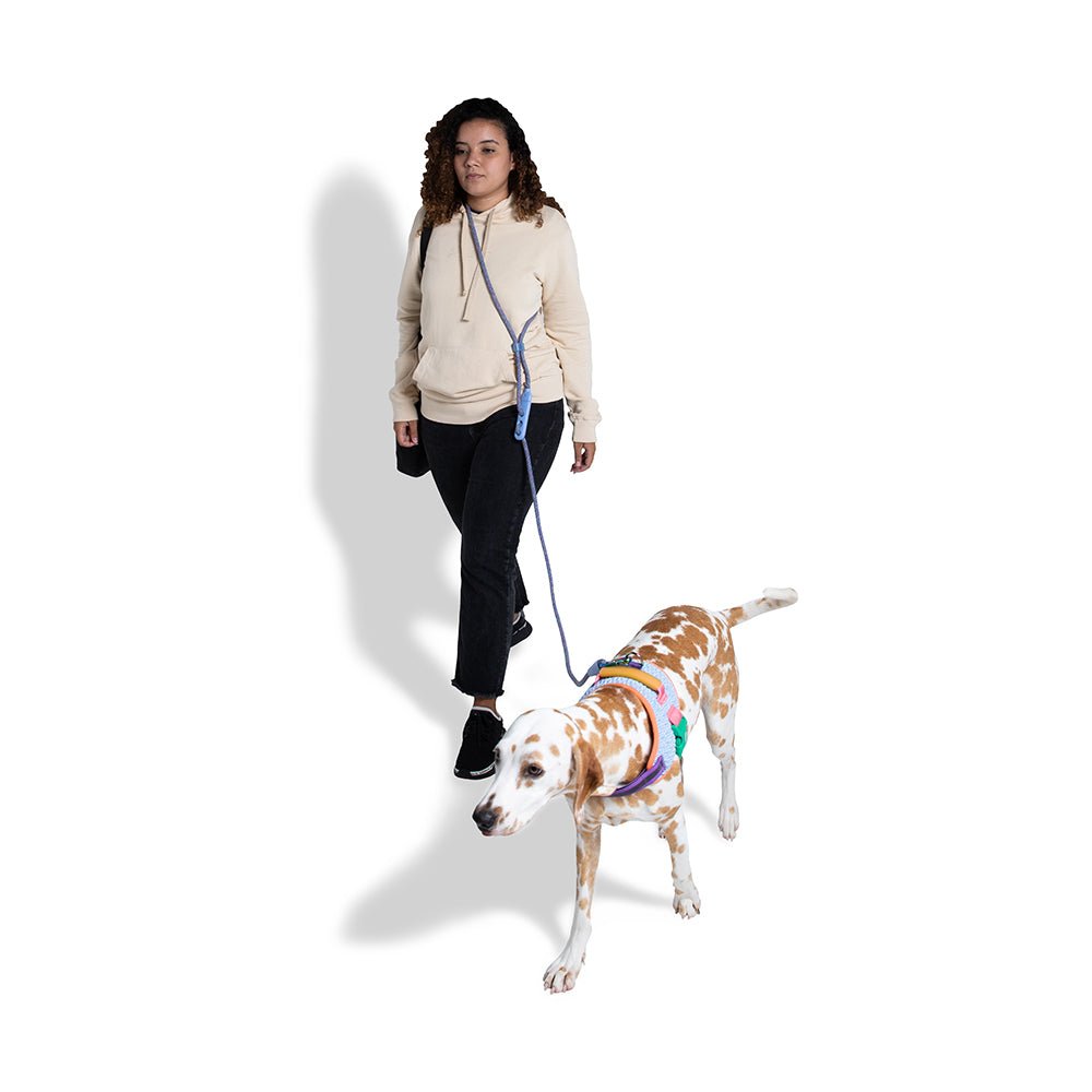 Zee.dog Andromeda Correa Hands-free manos libres - Pet Fashion
