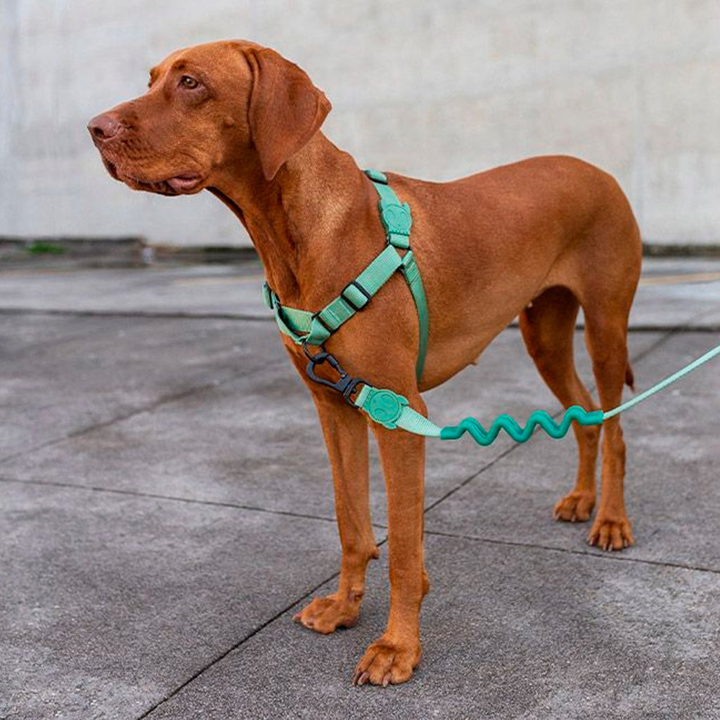 ZEE.DOG Army Green H - Harness - Pet Fashion
